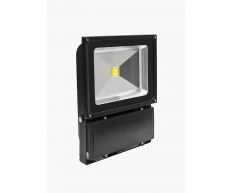 Светодиодный прожектор LederON LD-Pro W Светодиодный прожектор LederON LD-Pro W