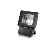 Светодиодный прожектор LederON LD-Pro W Светодиодный прожектор LederON LD-Pro W